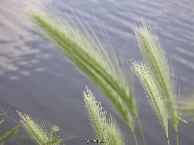 2007 05 Séjour en Brenne 006